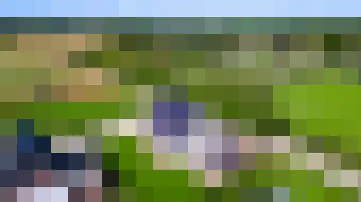 Lewieze 30 Stramproy thumbnail 48