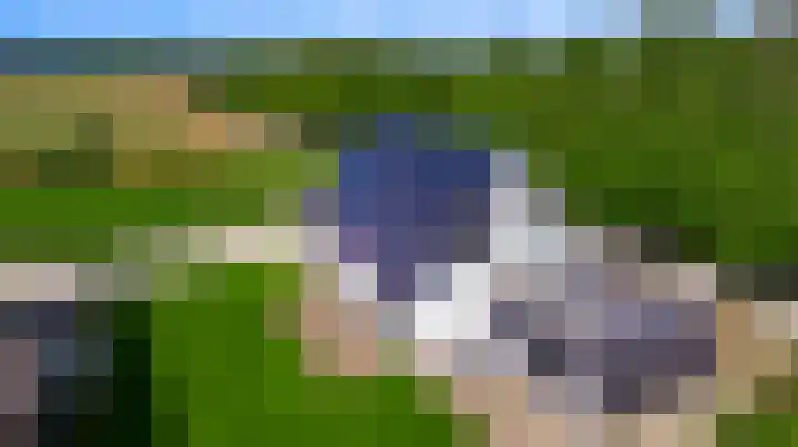 Lewieze 30 Stramproy thumbnail 49