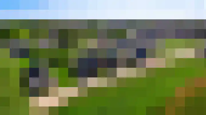 Lewieze 30 Stramproy thumbnail 51