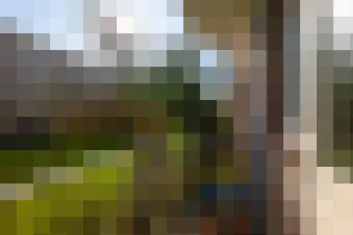 Lex Althoffstraat 1 3 Amsterdam thumbnail 10