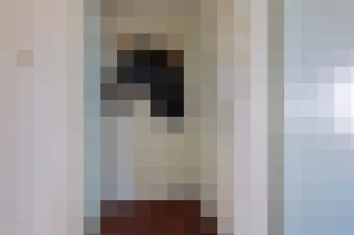 Lex Althoffstraat 1 3 Amsterdam thumbnail 11