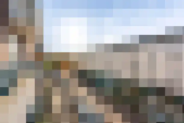Lex Althoffstraat 1 3 Amsterdam thumbnail 12