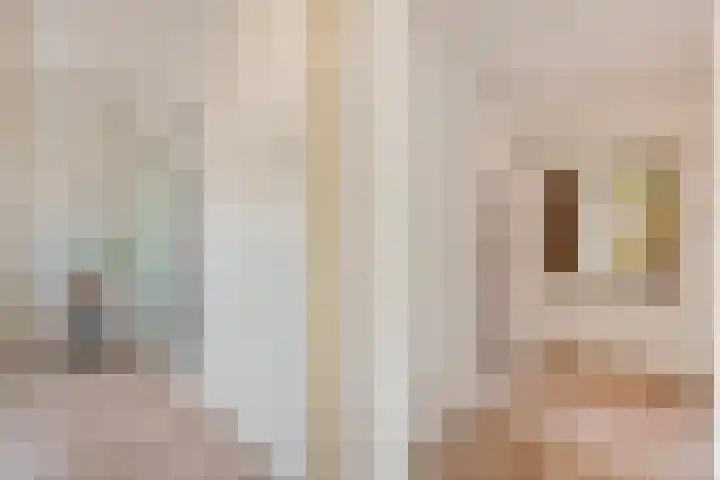 Lex Althoffstraat 1 3 Amsterdam thumbnail 27