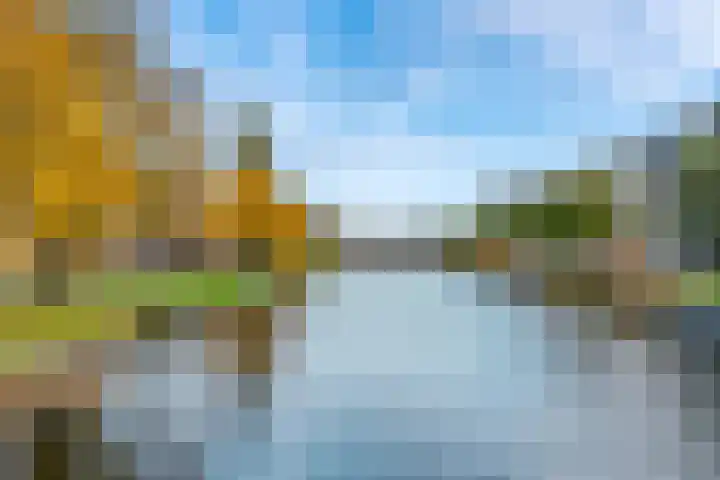 Lex Althoffstraat 1 3 Amsterdam thumbnail 33