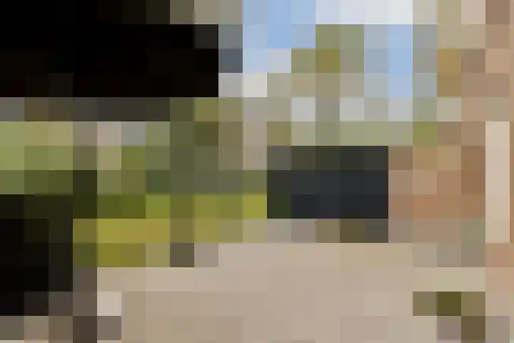 Lex Althoffstraat 15 3 Amsterdam thumbnail 13