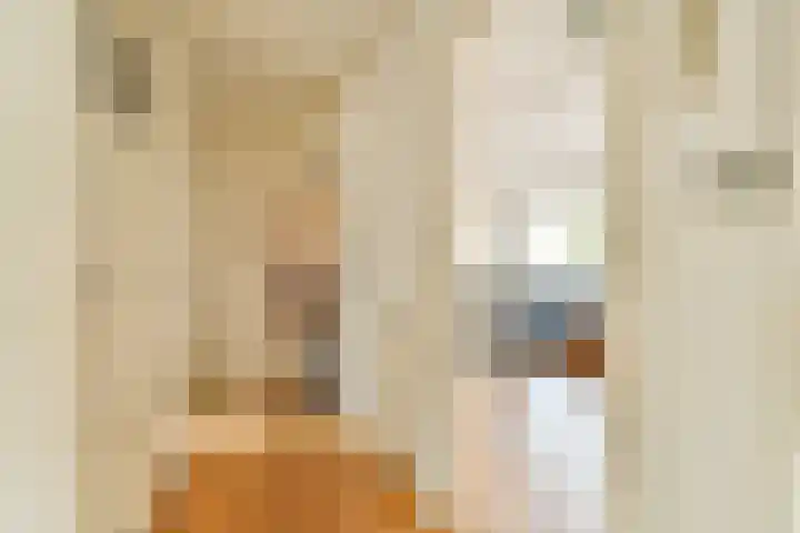 Lex Althoffstraat 15 3 Amsterdam thumbnail 8