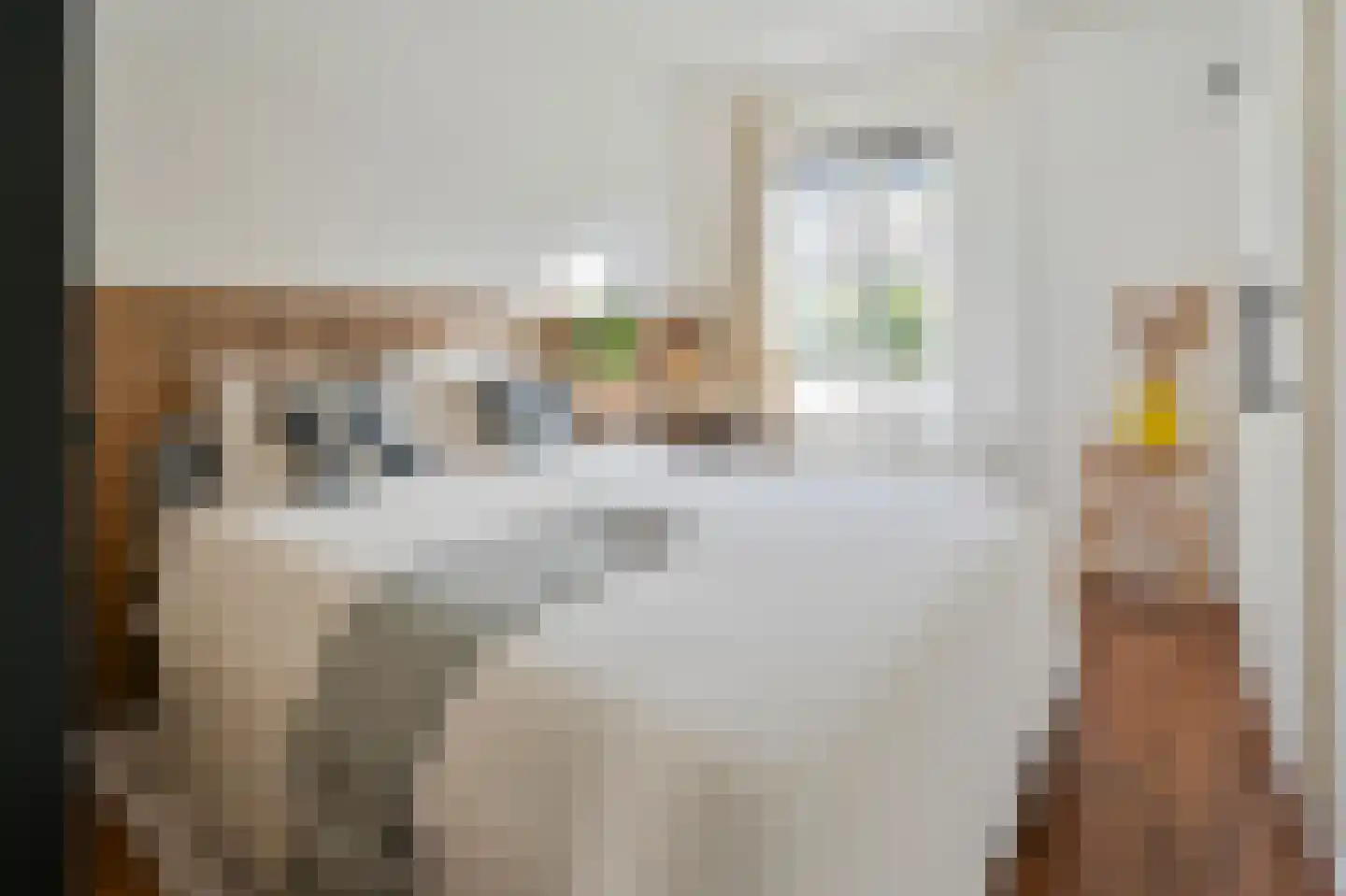 Lex Althoffstraat 21 1 Amsterdam thumbnail 4
