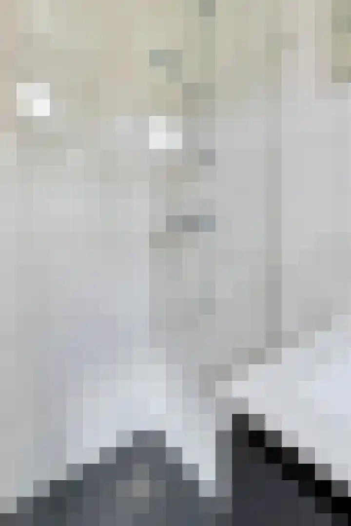 Lex Althoffstraat 23 3 Amsterdam thumbnail 35
