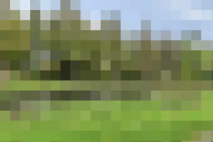 Lex Althoffstraat 23 3 Amsterdam thumbnail 37