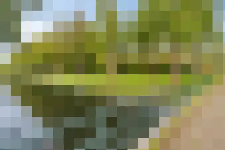 Lex Althoffstraat 23 3 Amsterdam thumbnail 39