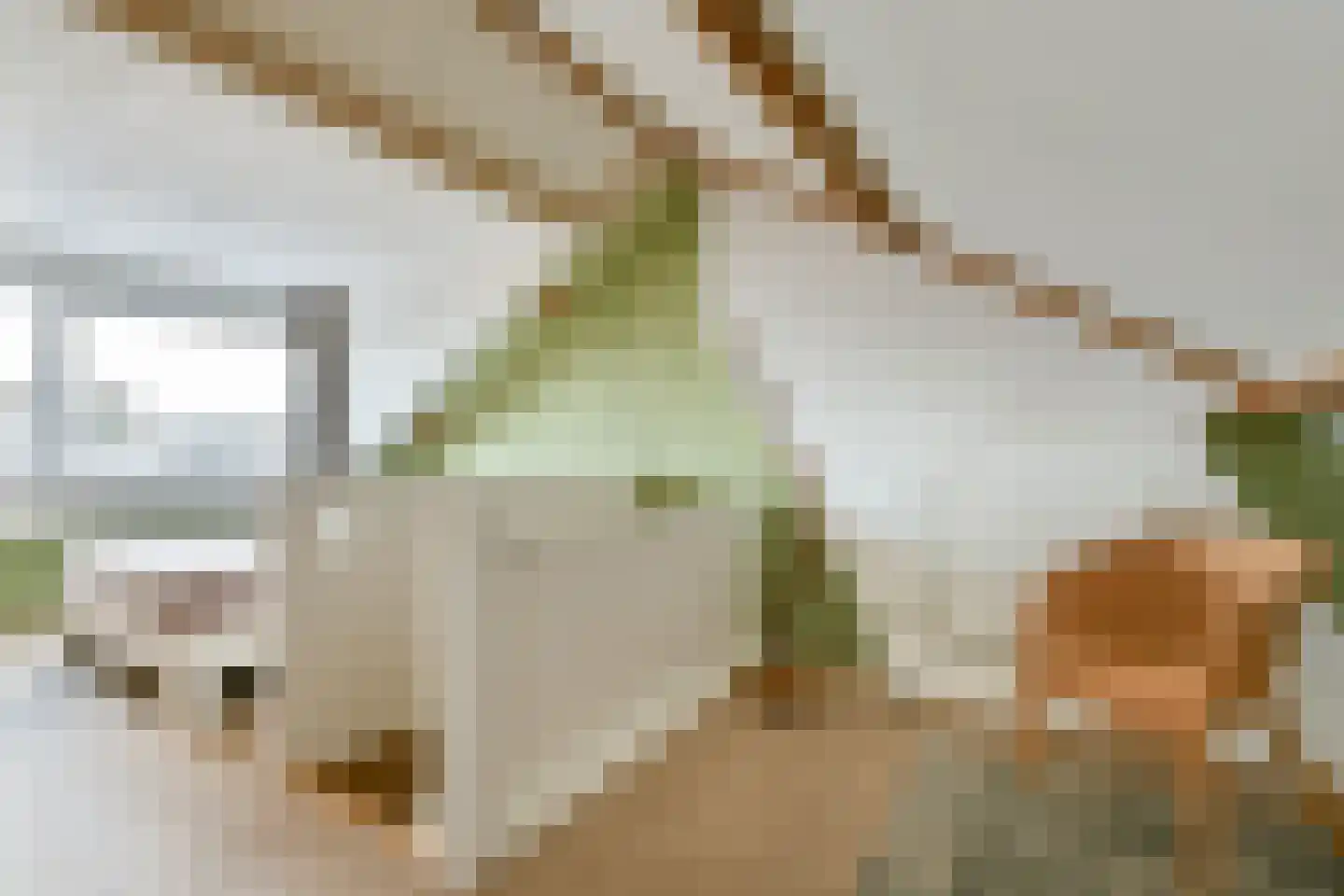 Lex Althoffstraat 27 2 Amsterdam thumbnail 15