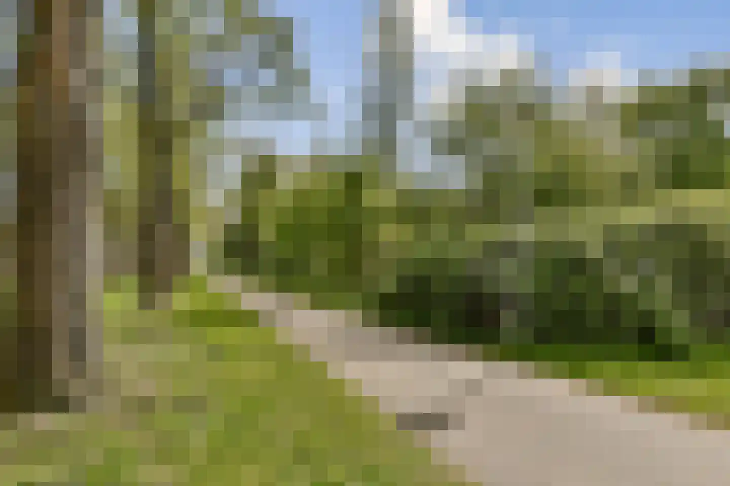 Lex Althoffstraat 27 2 Amsterdam thumbnail 24