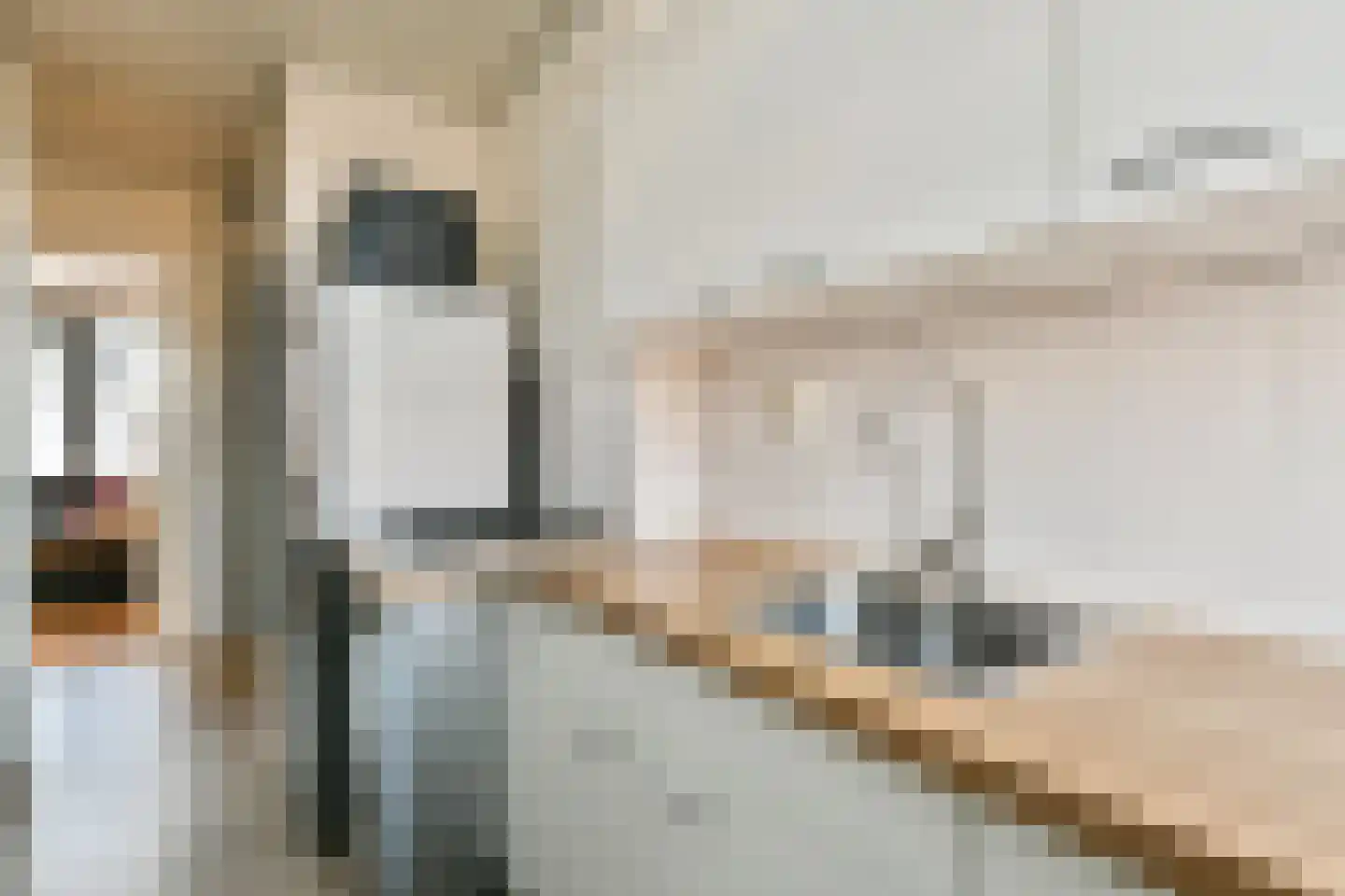 Lex Althoffstraat 27 2 Amsterdam thumbnail 9