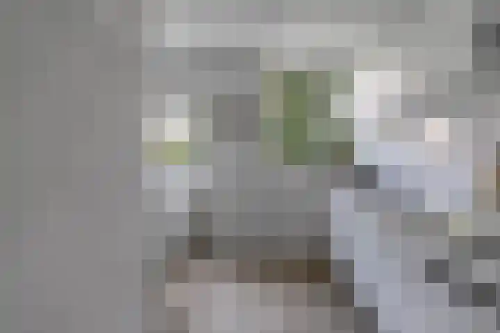 Lex Althoffstraat 5 3 Amsterdam thumbnail 15
