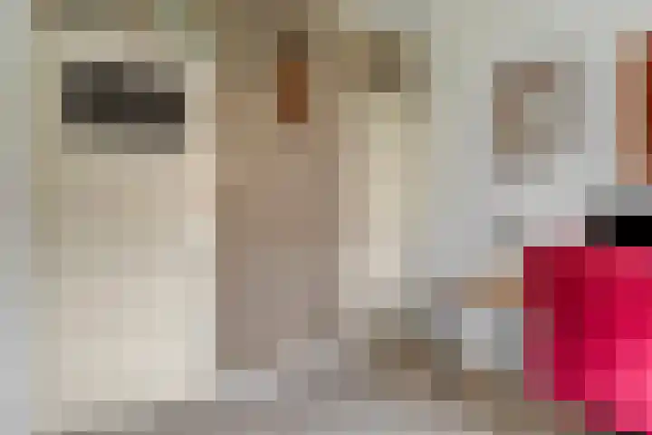 Lex Althoffstraat 5 3 Amsterdam thumbnail 19