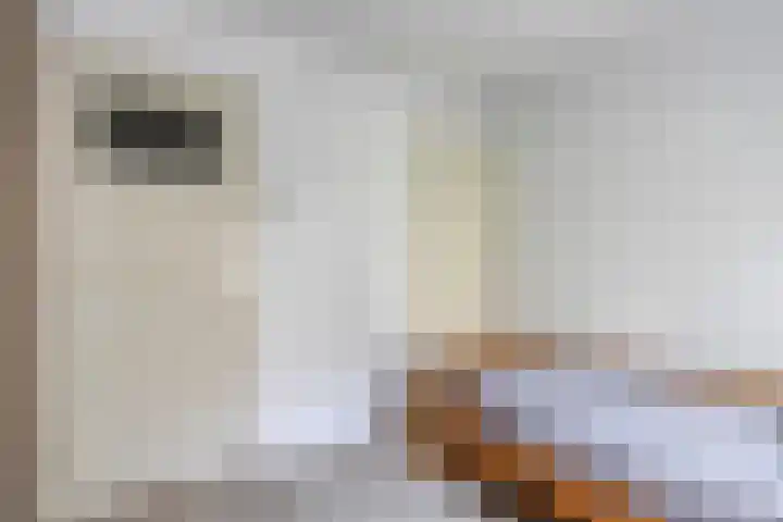Lex Althoffstraat 5 3 Amsterdam thumbnail 22