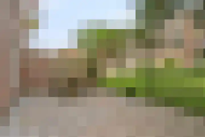 Lex Althoffstraat 5 3 Amsterdam thumbnail 26
