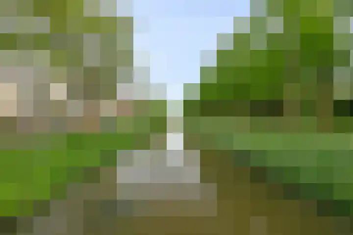 Lex Althoffstraat 5 3 Amsterdam thumbnail 5