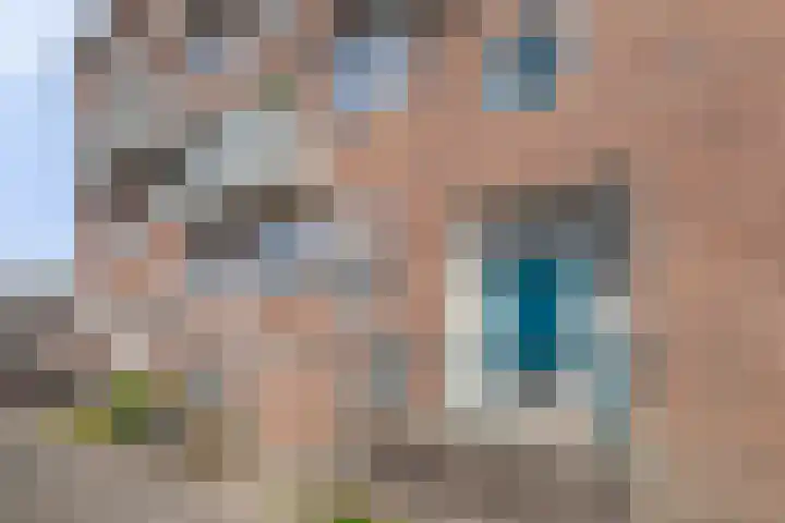 Lex Althoffstraat 5 3 Amsterdam thumbnail 6