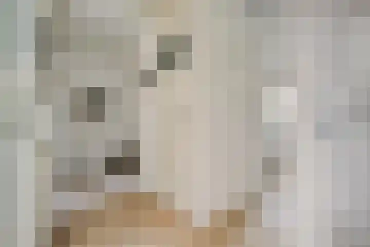 Lex Althoffstraat 5 3 Amsterdam thumbnail 8