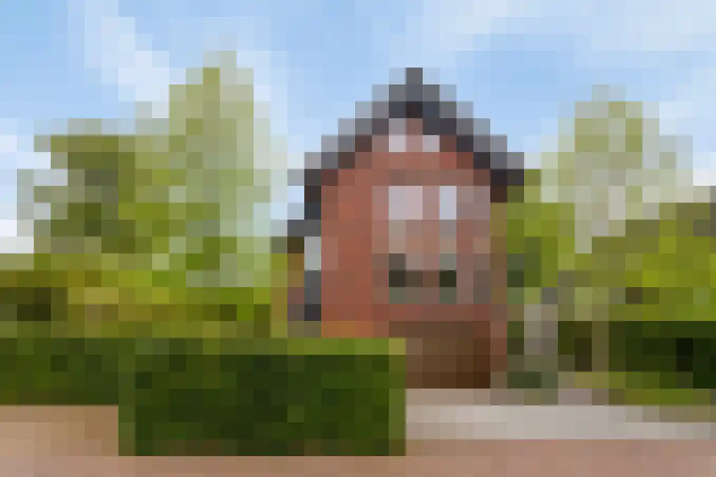 Lex ten Kleystraat 7 Deventer thumbnail 59