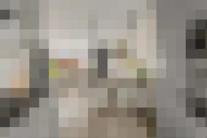 Lexmonderwaard 10 Lexmond thumbnail 10