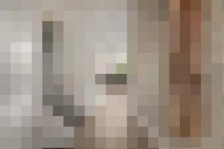 Lexmonderwaard 10 Lexmond thumbnail 12
