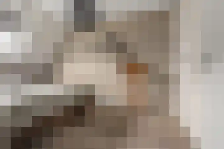 Lexmonderwaard 10 Lexmond thumbnail 14