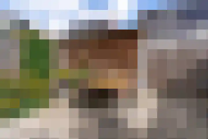 Lexmonderwaard 10 Lexmond thumbnail 25
