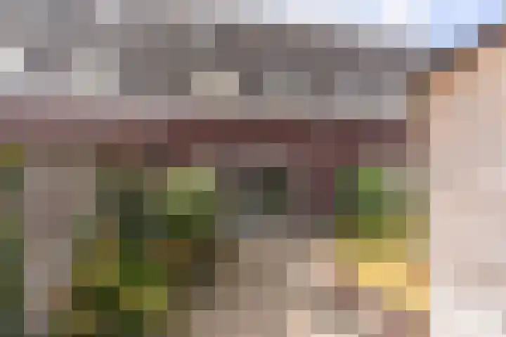 Lexmonderwaard 10 Lexmond thumbnail 26
