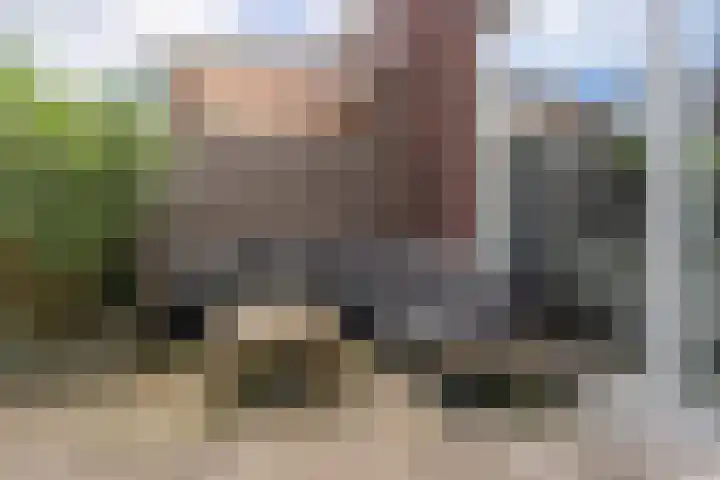 Lexmonderwaard 10 Lexmond thumbnail 27