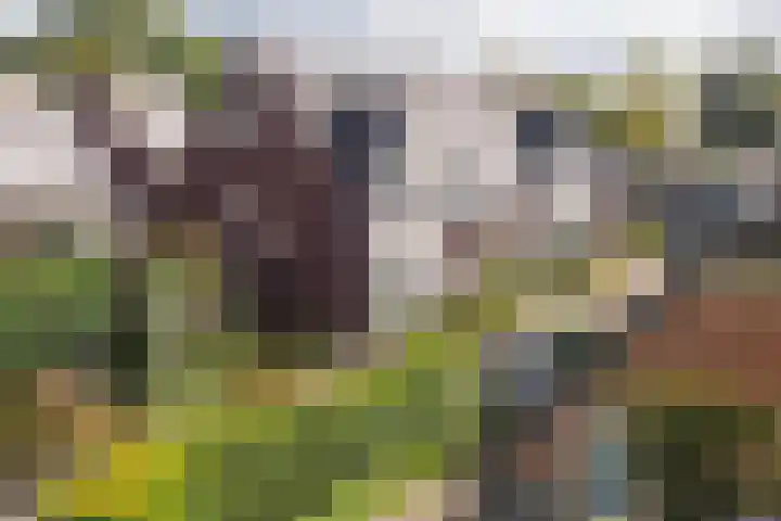 Lexmonderwaard 10 Lexmond thumbnail 29