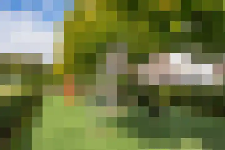 Lexmonderwaard 10 Lexmond thumbnail 32