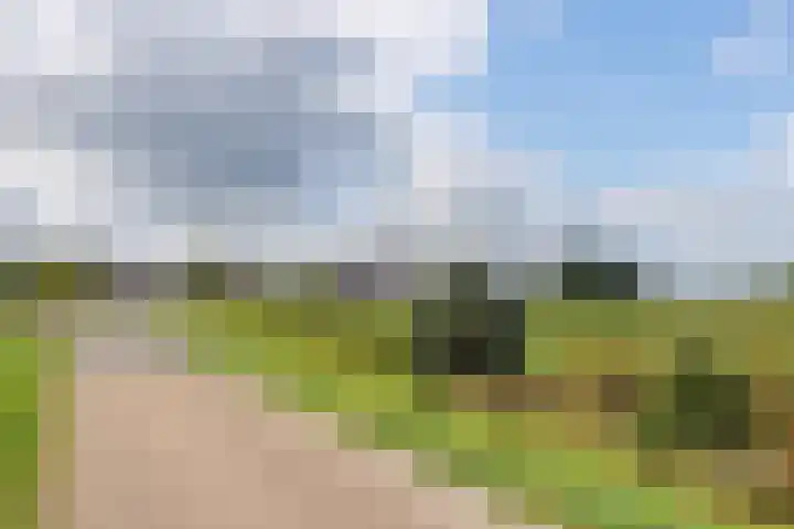 Lexmonderwaard 10 Lexmond thumbnail 33