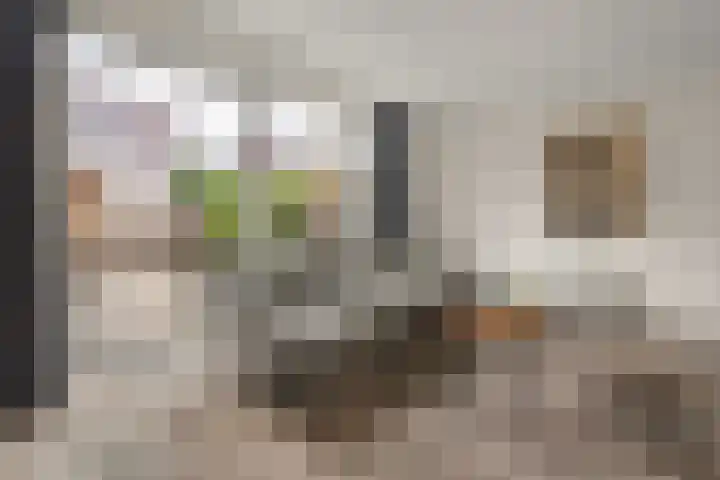 Lexmonderwaard 10 Lexmond thumbnail 4