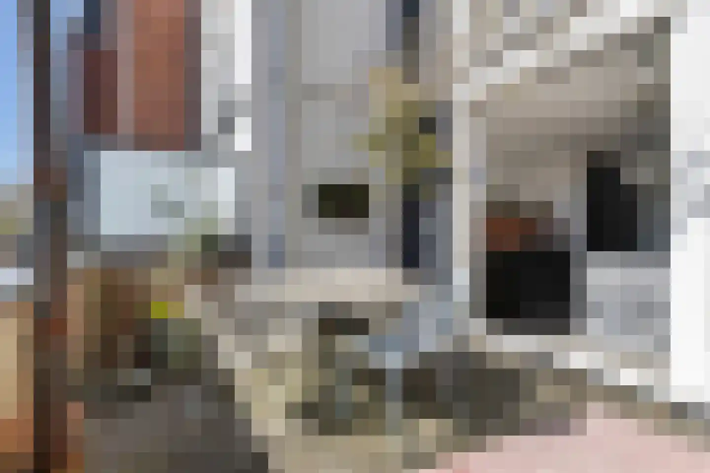 Lexmonderwaard 23 Lexmond thumbnail 14