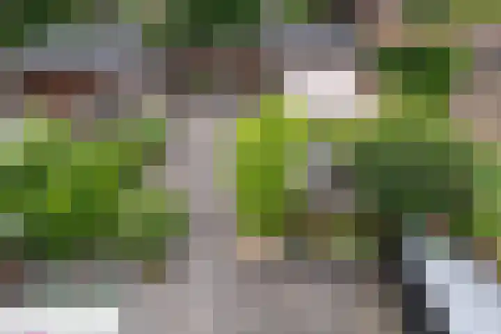 Lexmonderwaard 30 Lexmond thumbnail 28