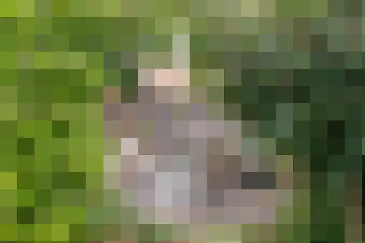 Lexmonderwaard 30 Lexmond thumbnail 30