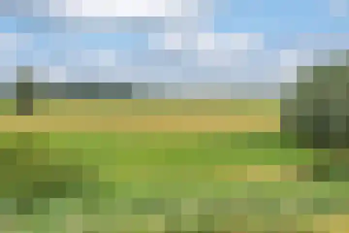 Lexmonderwaard 30 Lexmond thumbnail 36