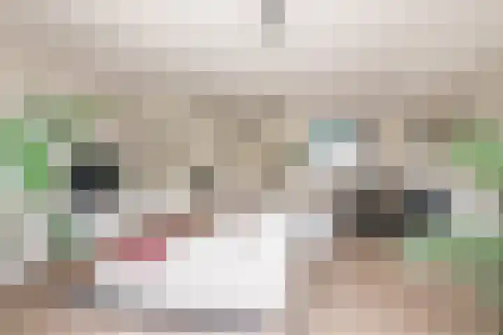 Lexmonderwaard 30 Lexmond thumbnail 6