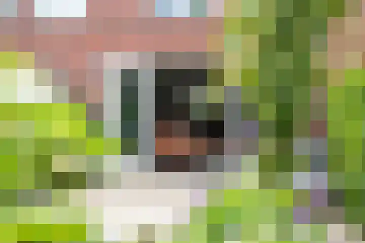 Lexmonderwaard 56 Lexmond thumbnail 10