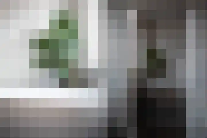 Lexmonderwaard 56 Lexmond thumbnail 17