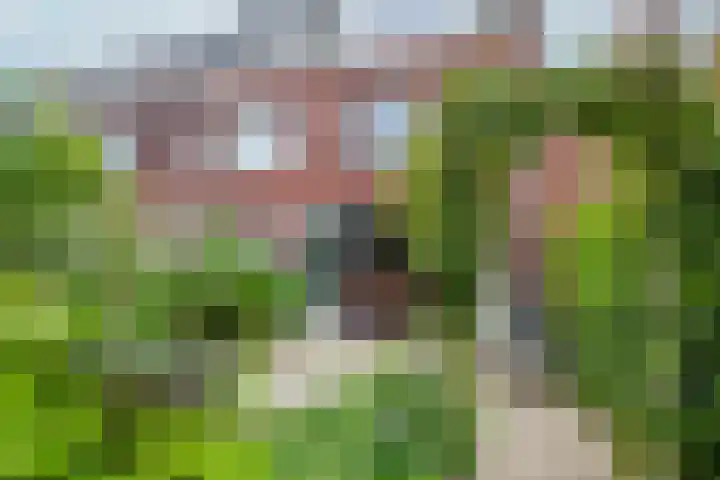 Lexmonderwaard 56 Lexmond thumbnail 29