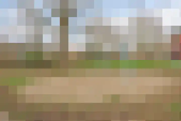 Lexmondplaats 40 Arnhem thumbnail 23