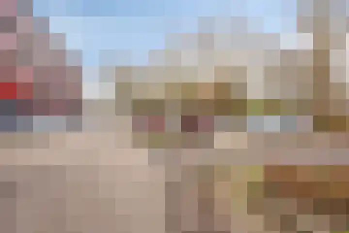 Lexmondplaats 40 Arnhem thumbnail 5