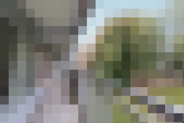 Lexmondplaats 52 Arnhem thumbnail 18