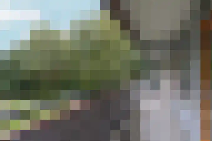 Lexmondplaats 52 Arnhem thumbnail 19
