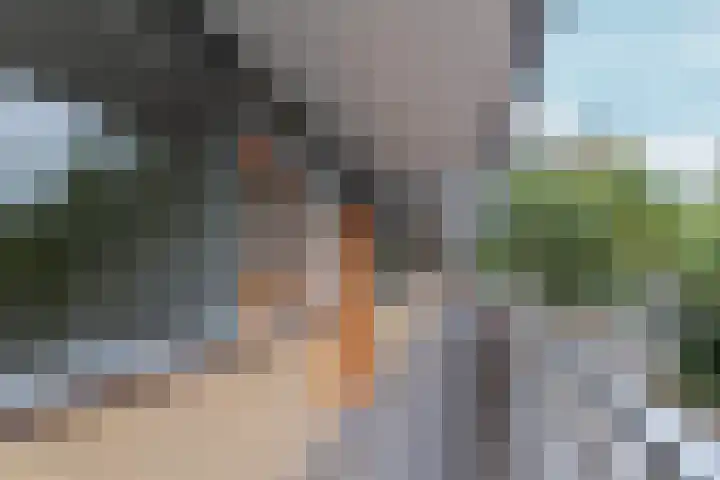 Lexmondplaats 52 Arnhem thumbnail 6