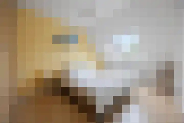 Leyborch 17 Rosmalen thumbnail 11
