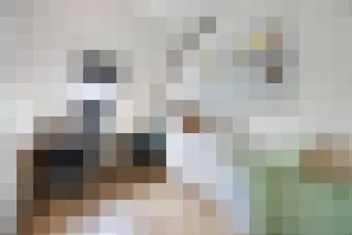 Leyborch 17 Rosmalen thumbnail 17